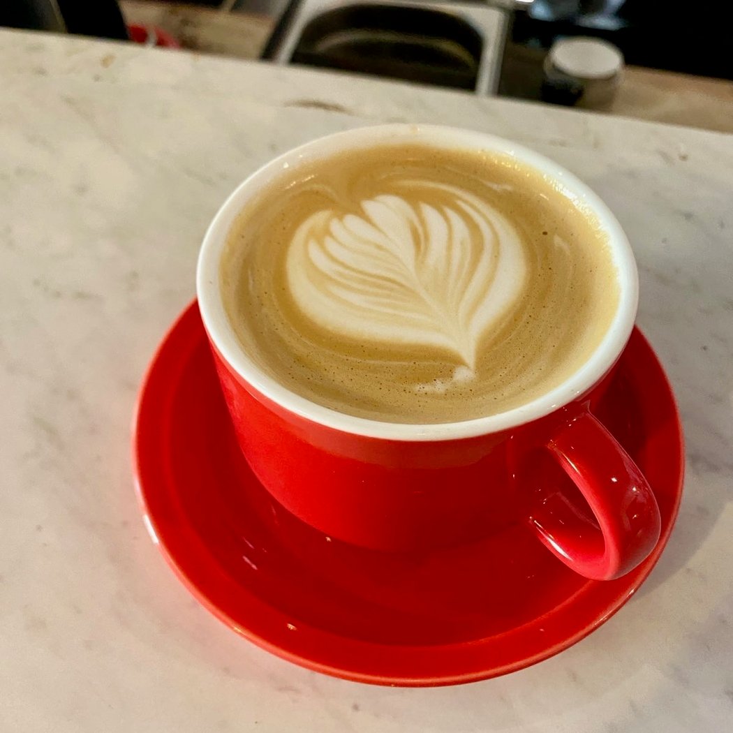 Cano Coffee Company 1