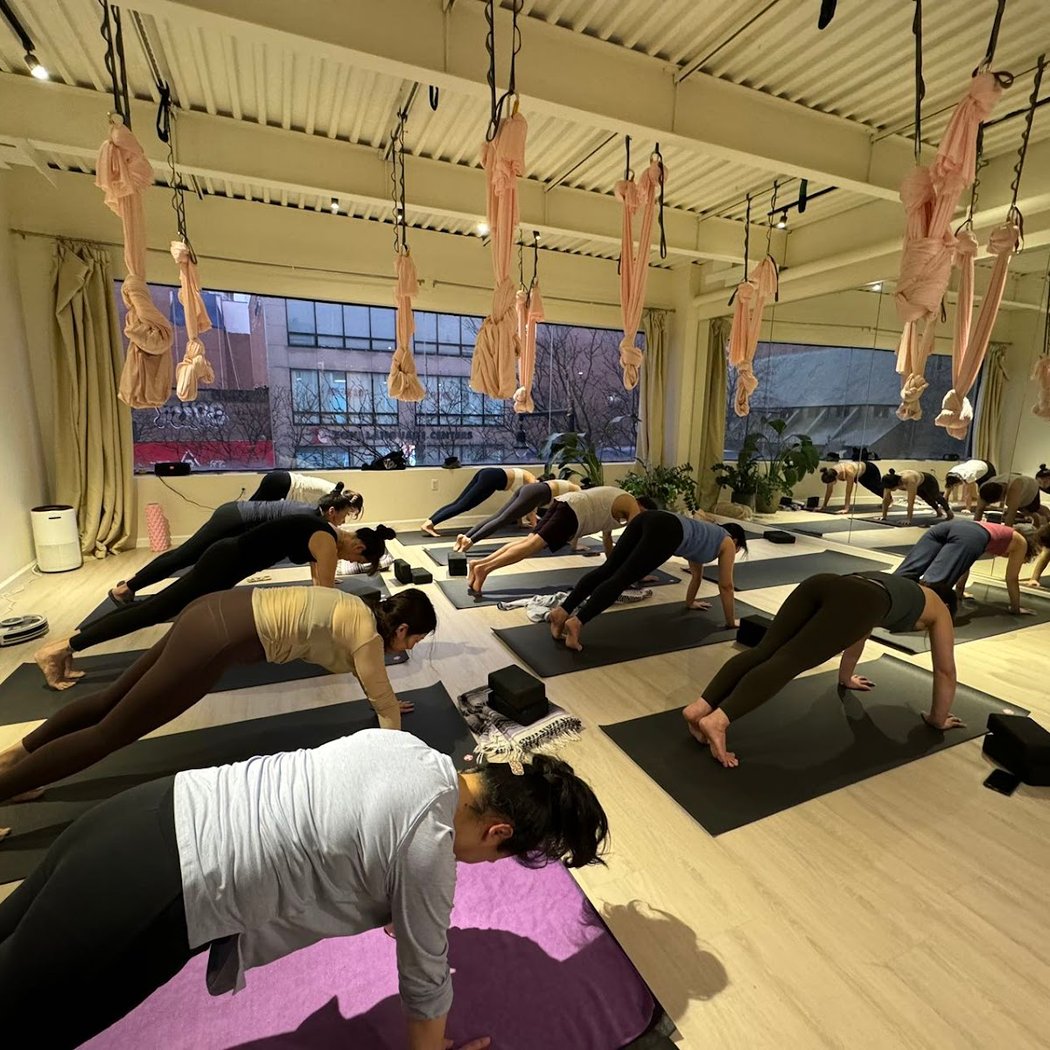 Cat Yoga at Kokoro 1