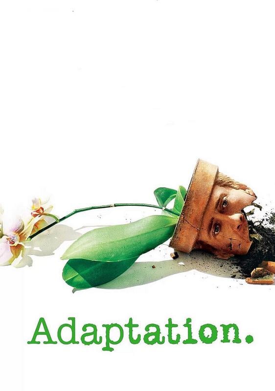 Adaptation
