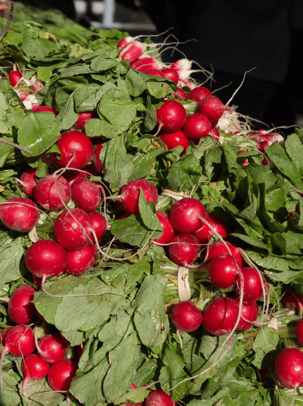 San Ramon Farmers Market 3