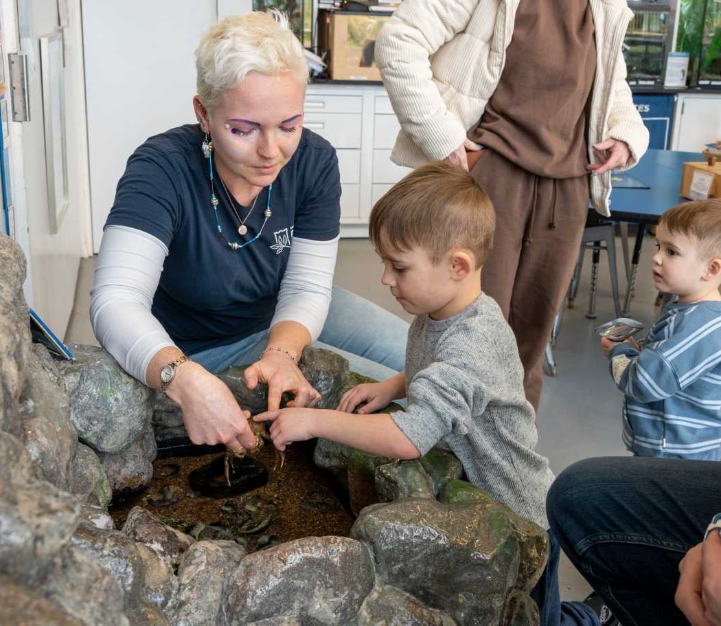 Open Hours at Environmental Education Center 1