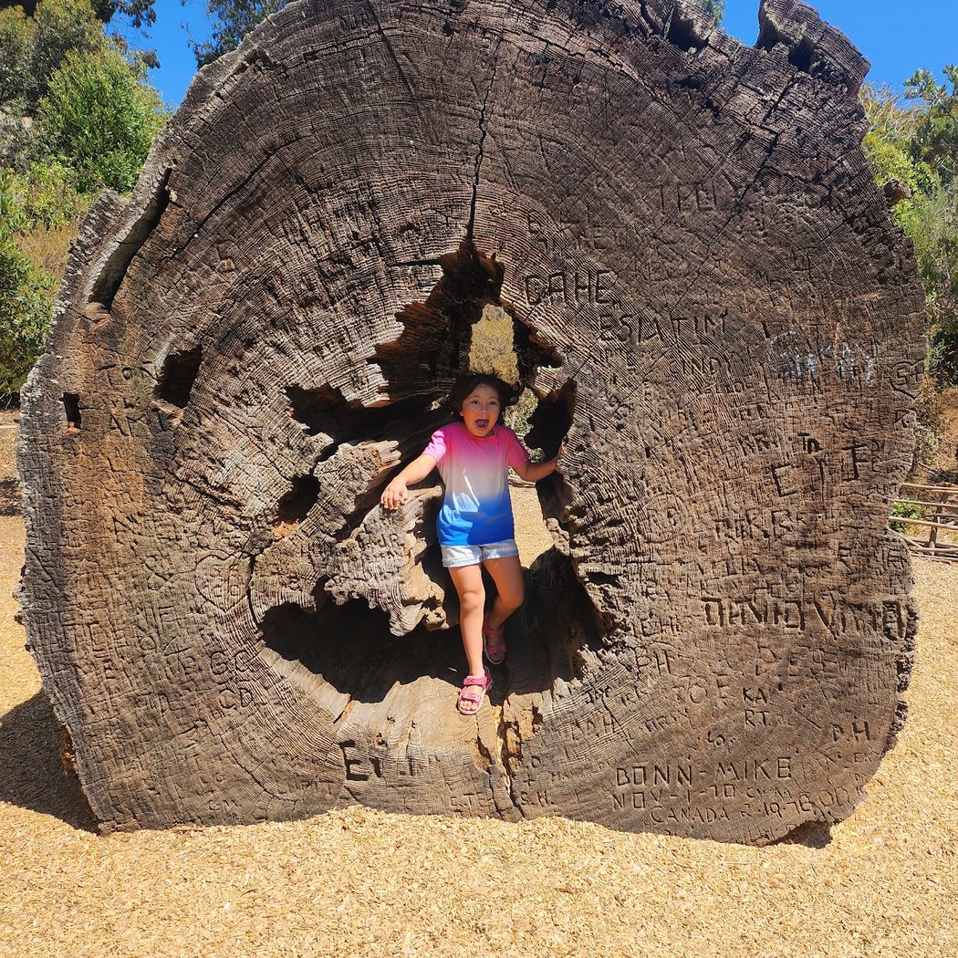 Drop-in: Bay Area Discovery Museum 1