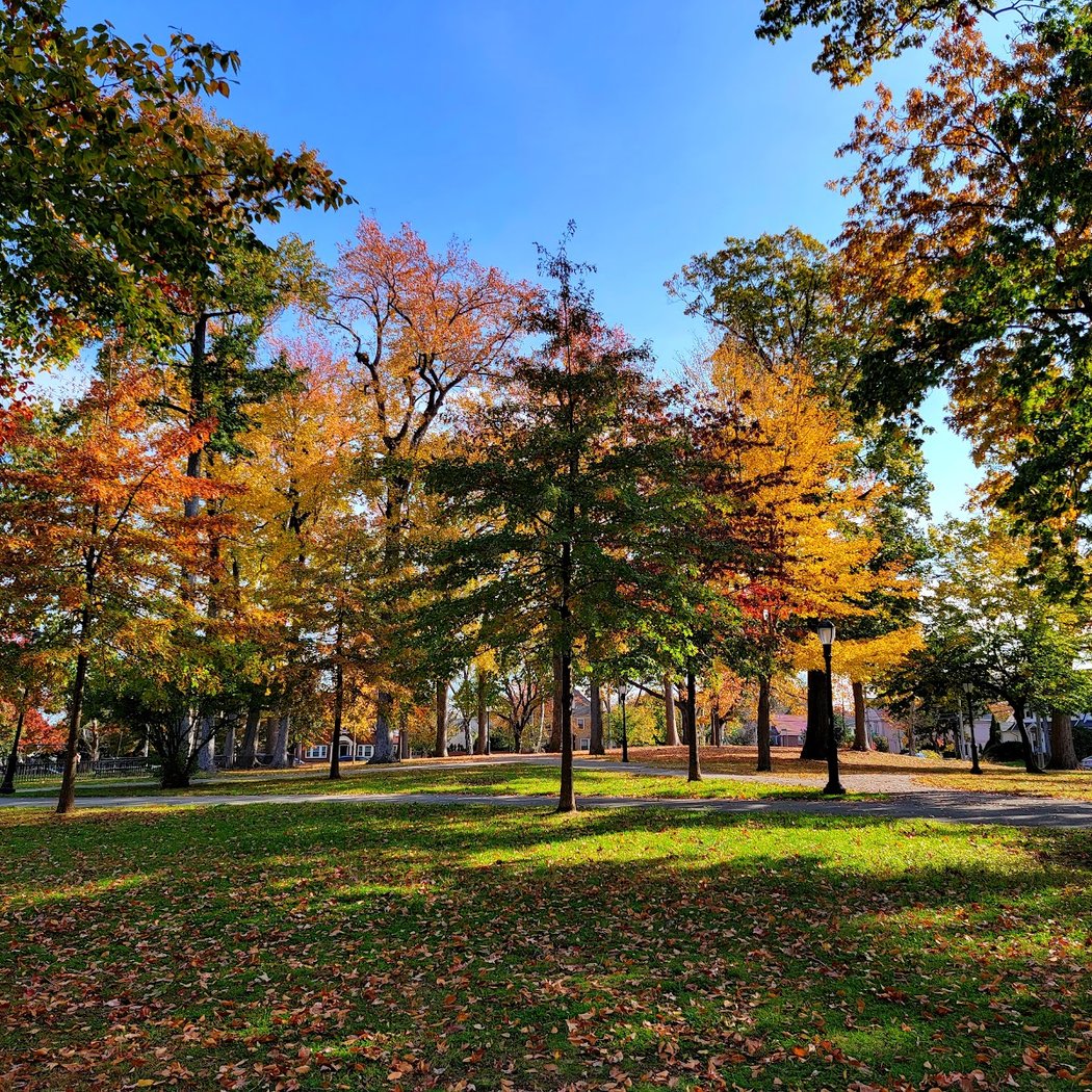 Bowne Park 1