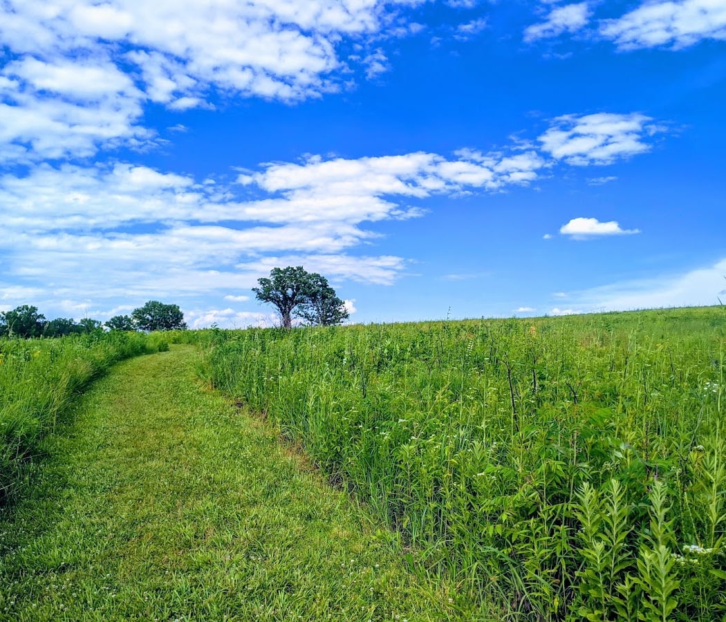 Shaw Nature Reserve 1