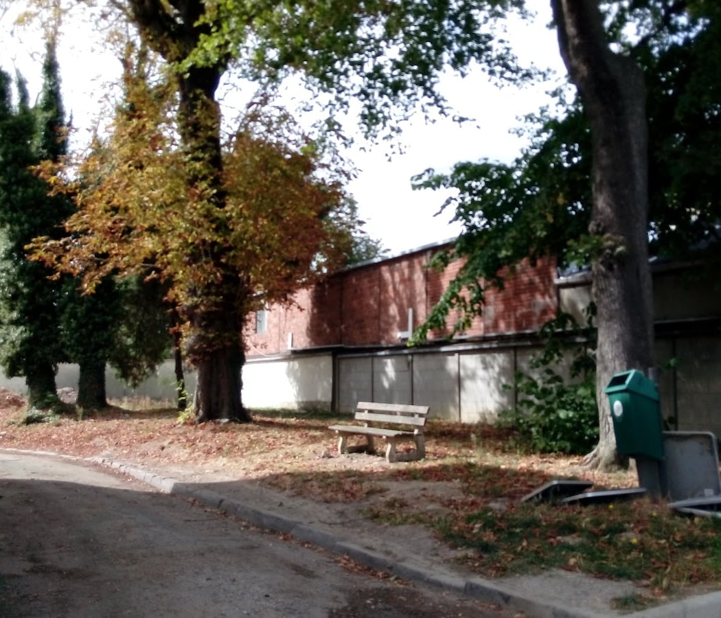 Association des Maisons de Quartier 3
