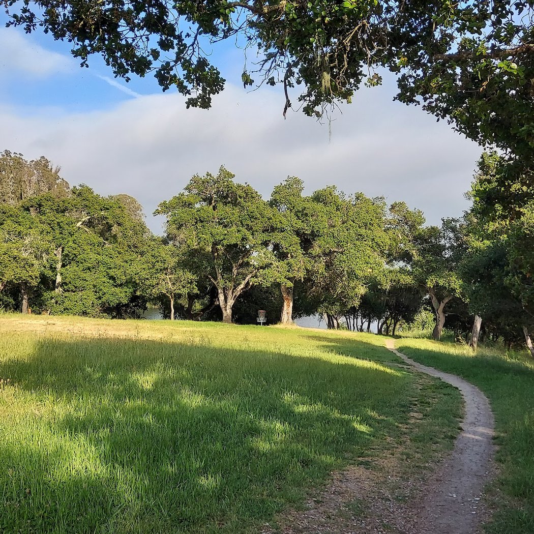 Mother's Day Run & Walk 3