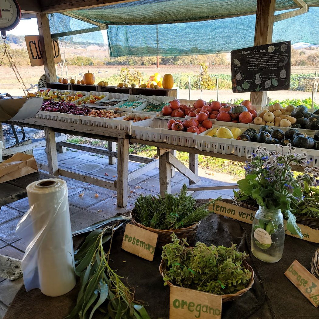 Green String Farm 2