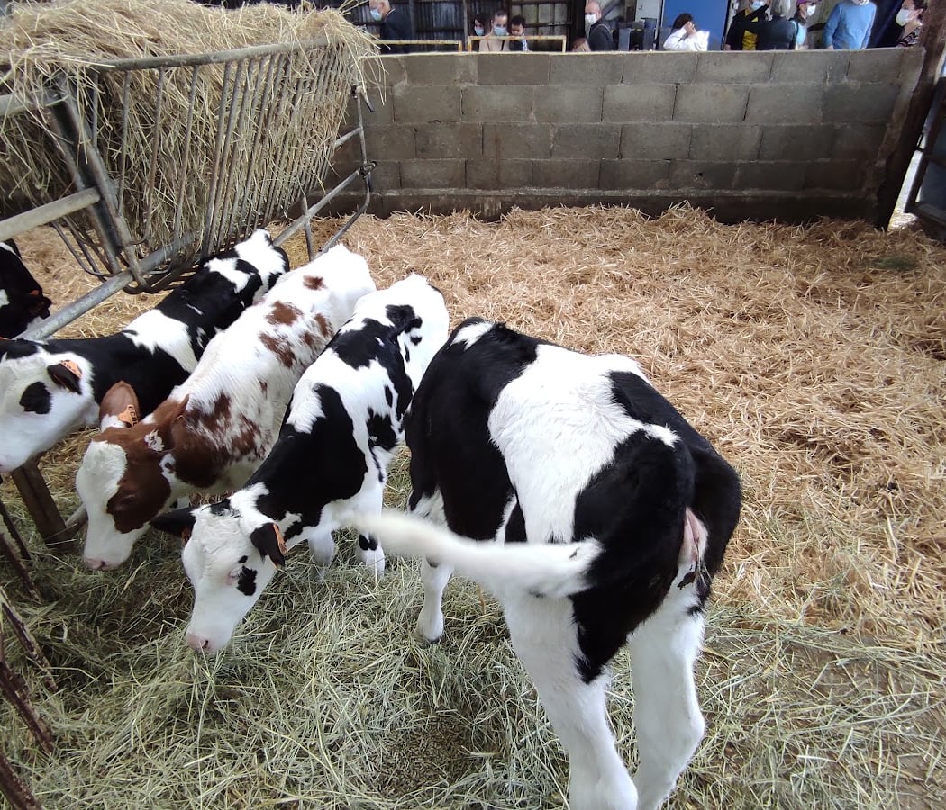 Animations à la ferme 3