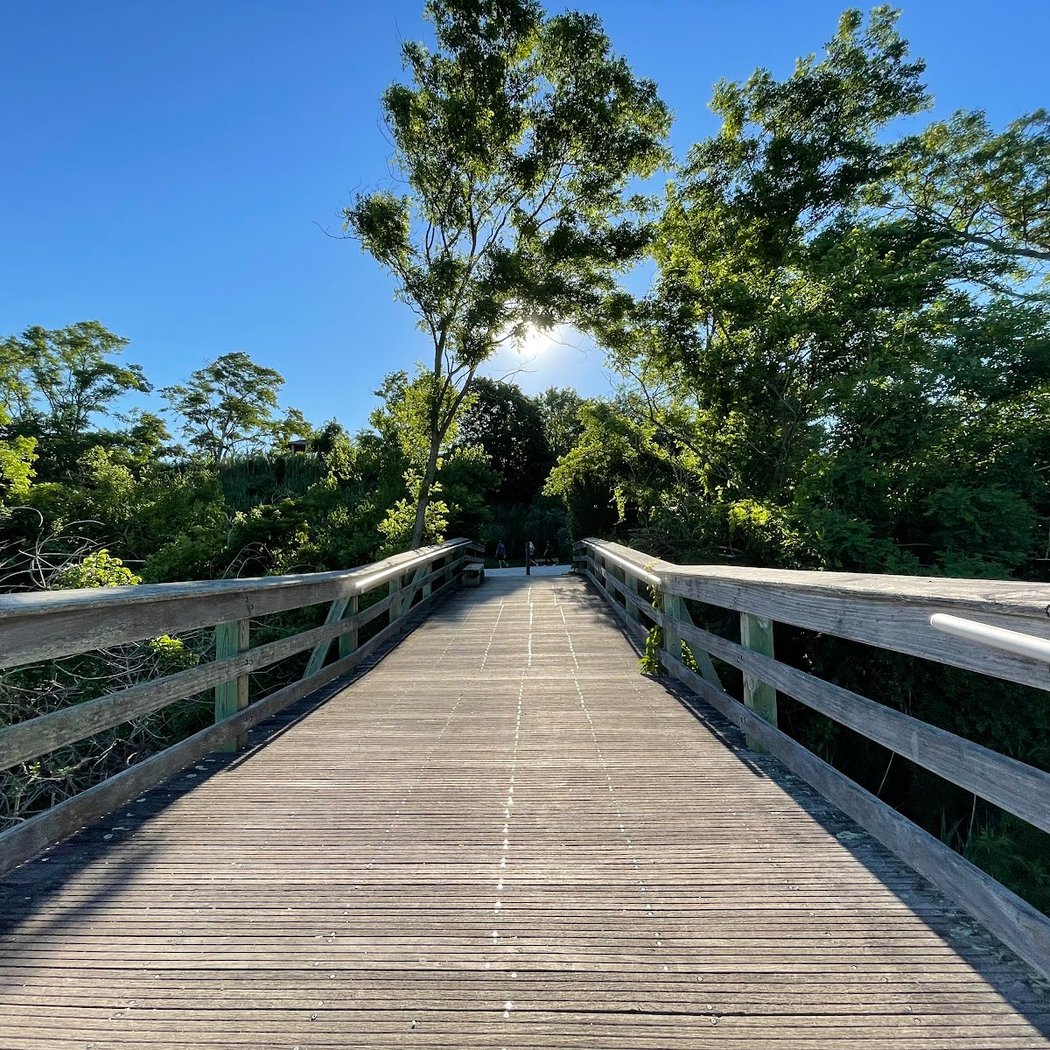 Norman J. Levy Park & Preserve 2