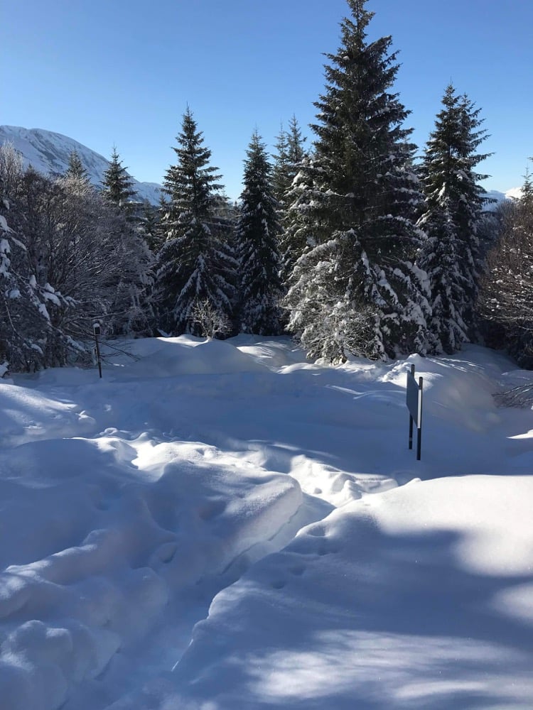 Bureau Montagne de la Vallée d'Ossau 2