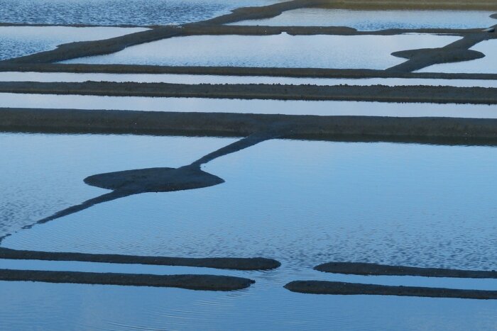 Salines de Guérande 3