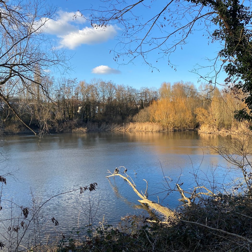 Réserve naturelle Régionale du bassin de la Bièvre 1