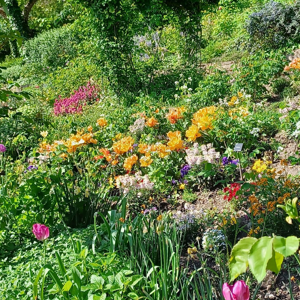 Jardin du Rosaire 3