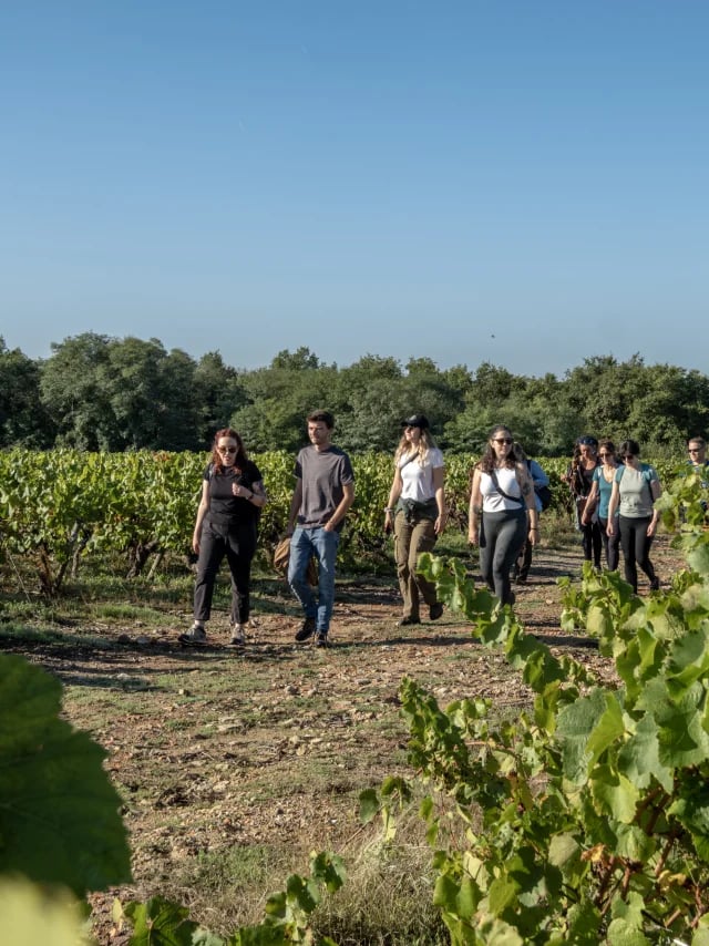 Le Clos de la Bidière 2