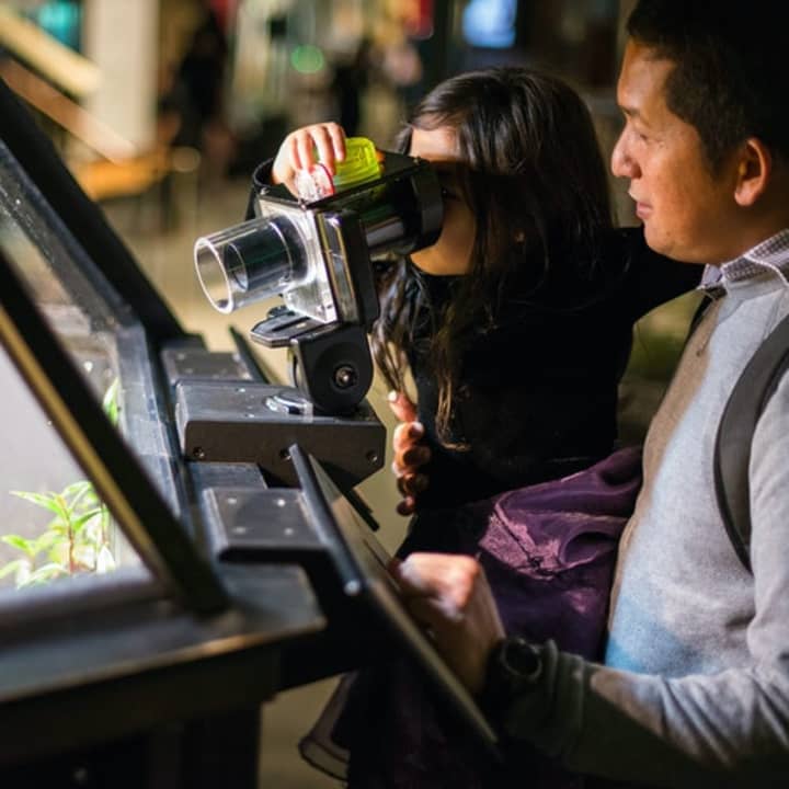 Exploratorium 3