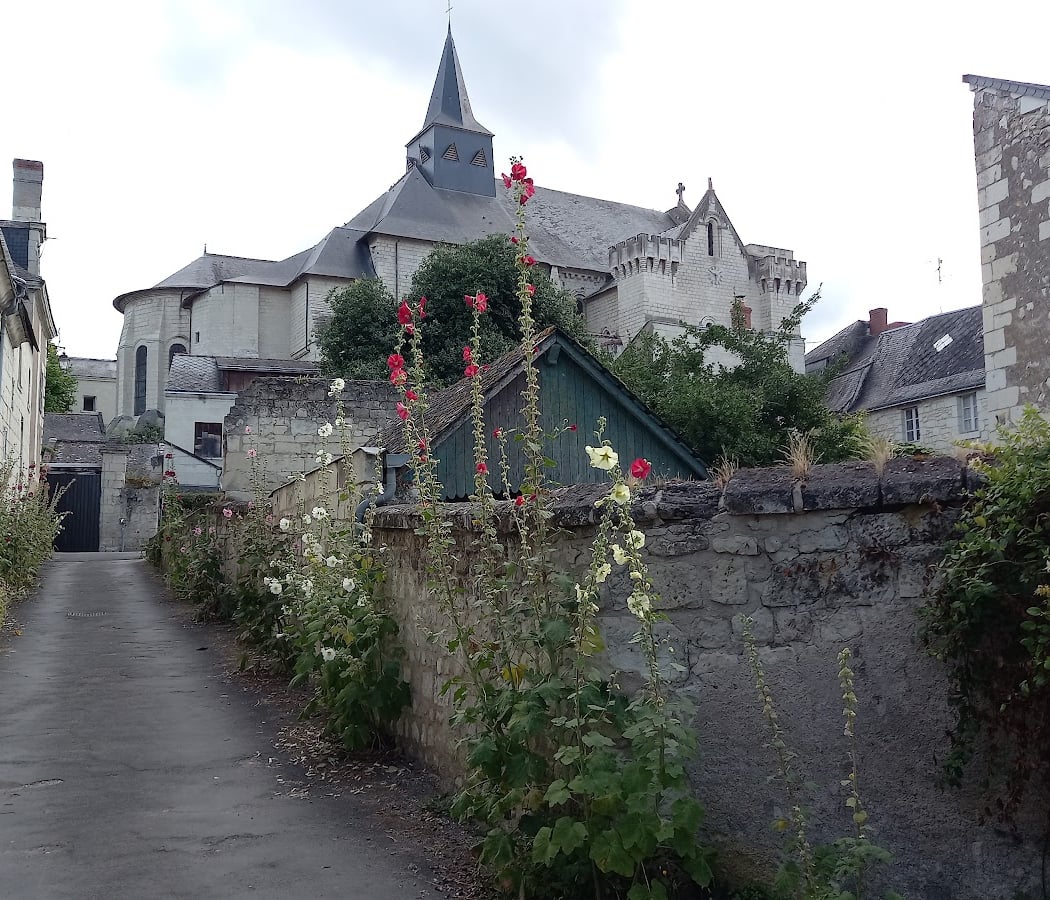 Candes-Saint-Martin 4