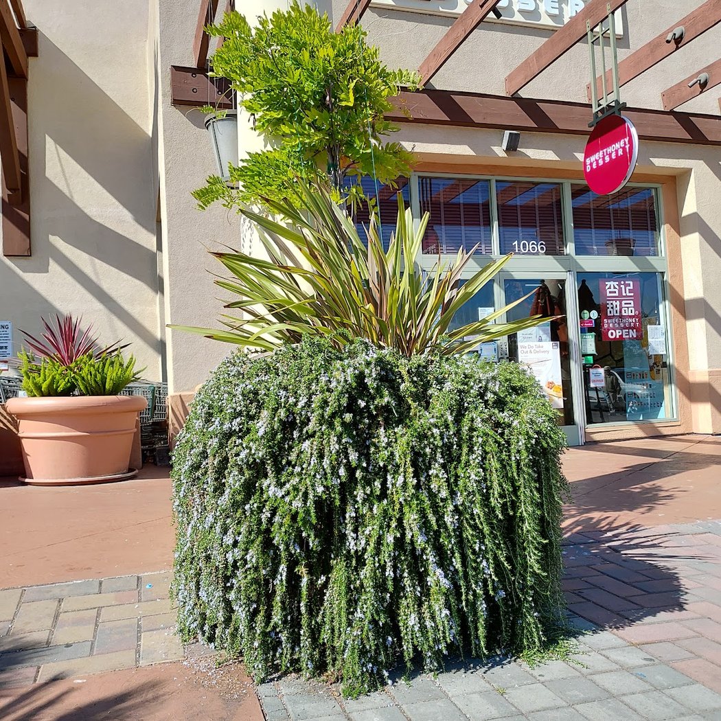 Marlin Cove Shopping Center 2