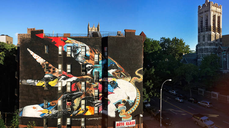 Audubon 1
