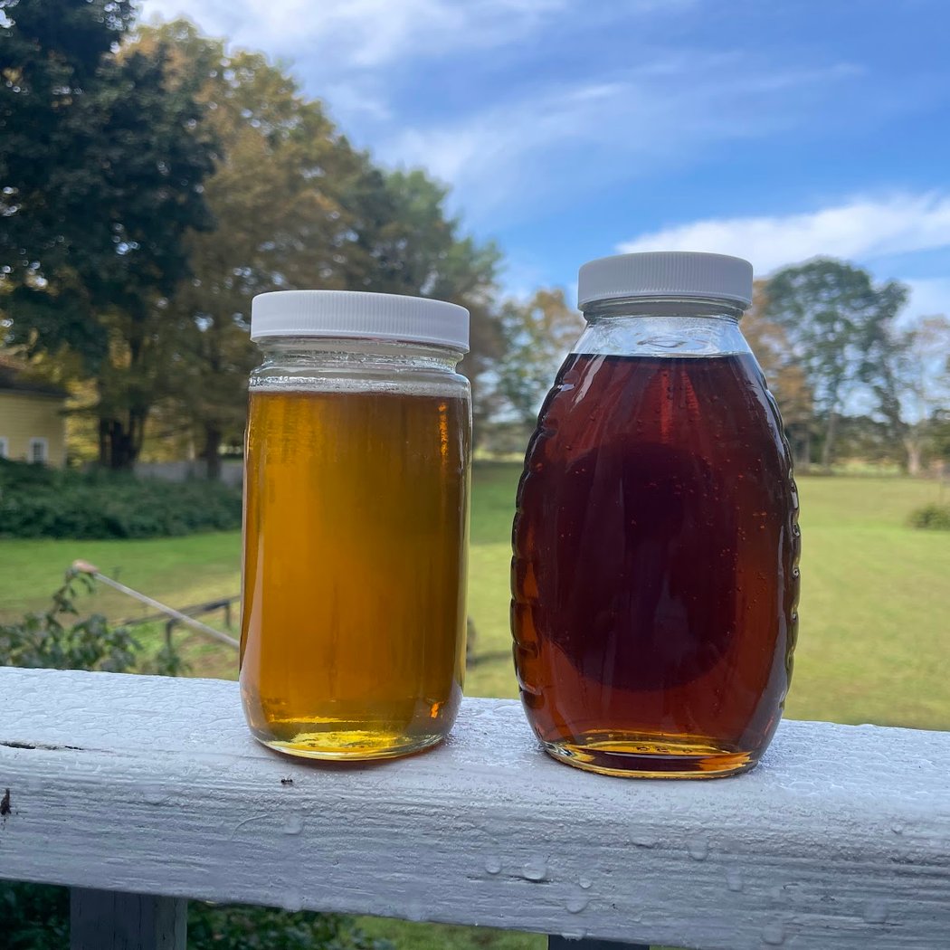 Bee Hollow Farm & Apiary 1