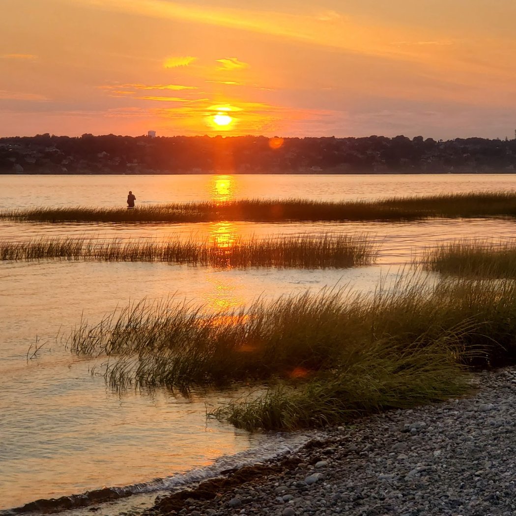 Sapowet Marsh 3