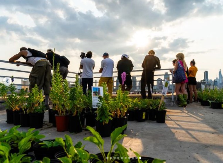 Kingsland Wildflowers Green Roof & Community Engagement Center 2
