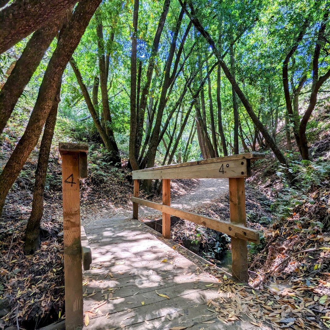 Wildcat Loop Trailhead 2