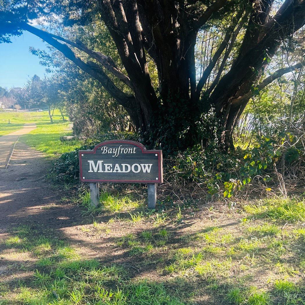 Mill Valley Bike Path Circle 2