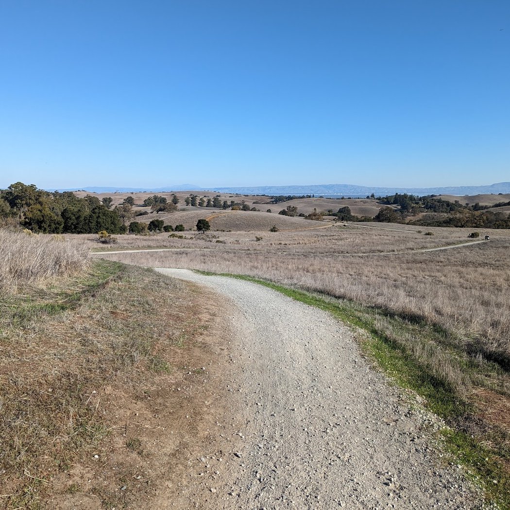 Arastradero Creek Trail 3