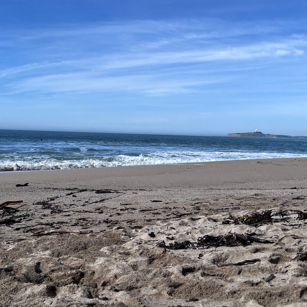 Monthly Beach Cleanups 3