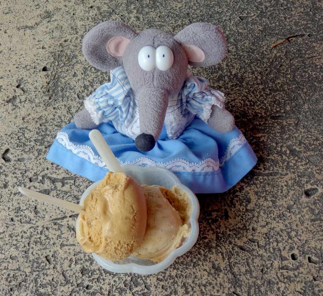 Mille et une Glaces 5