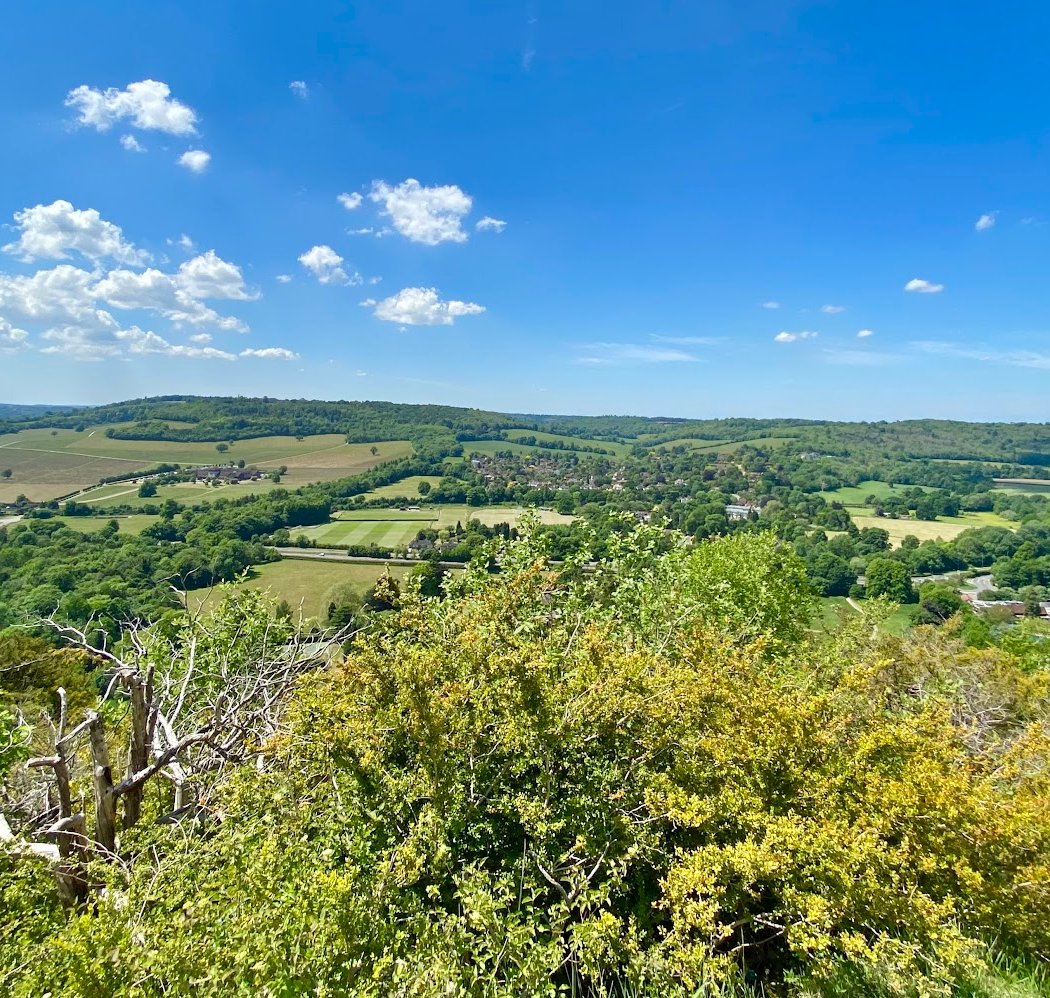Box Hill 1