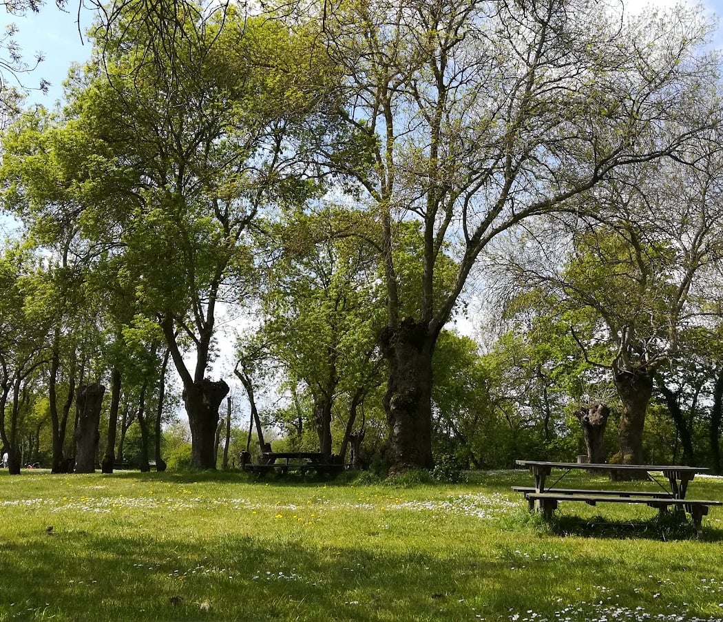 Space Loire Rives 3