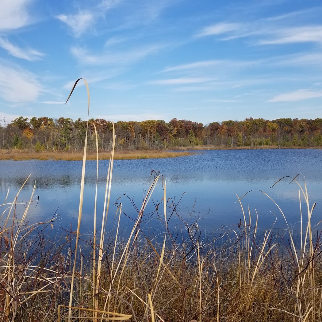 Indian Springs Metropark 1