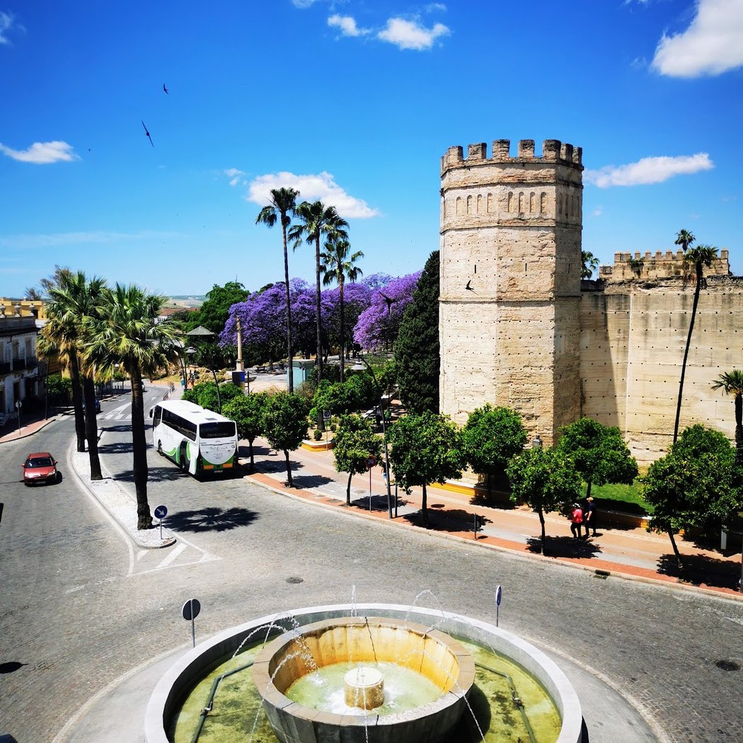 Alameda Vieja 1