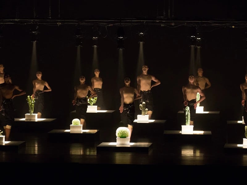 Boston Ballet: Fall Experience 2