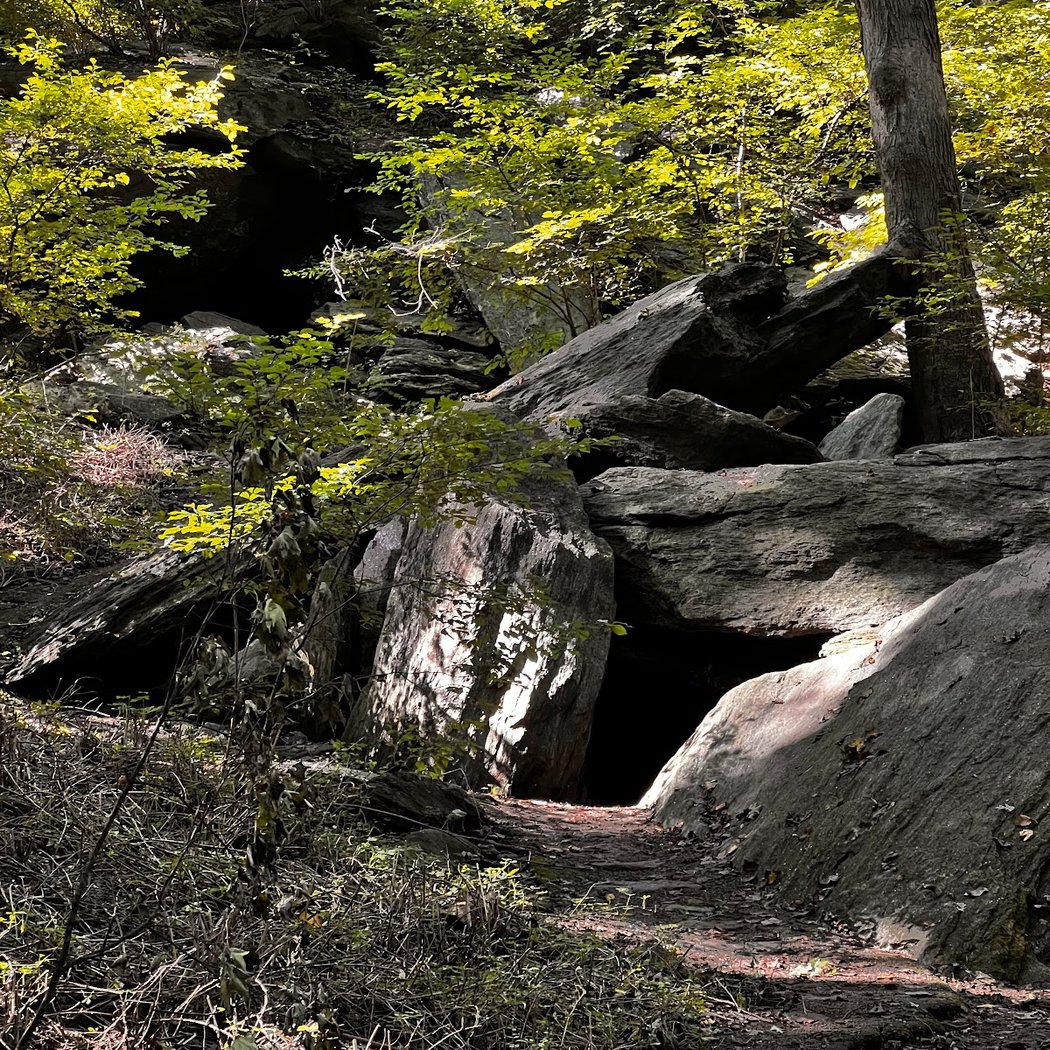 Inwood Hill Nature Center 5