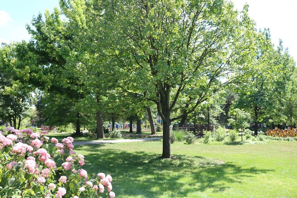 Proksa Park 1