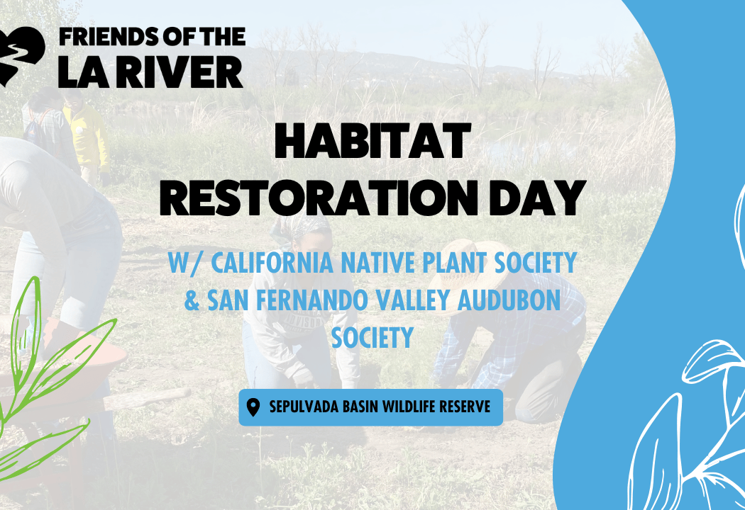 Habitat Restoration Day 1