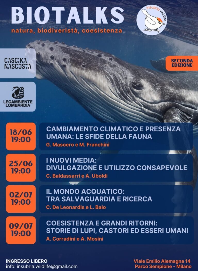 Coesistenza e grandi ritorni: storie di lupi, castori ed esseri umani 1