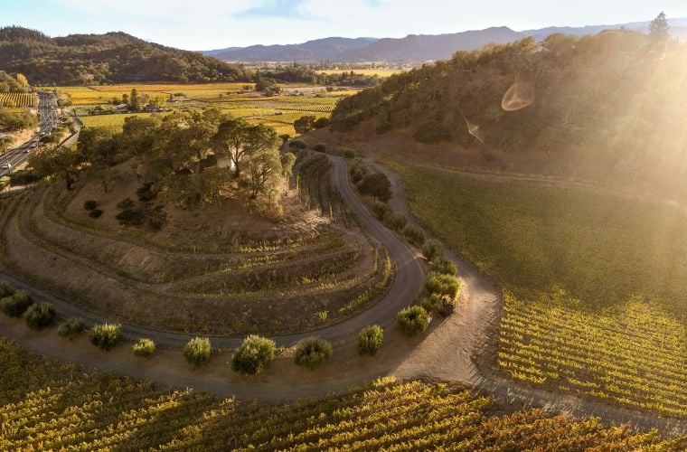 Pine Ridge Vineyards 2