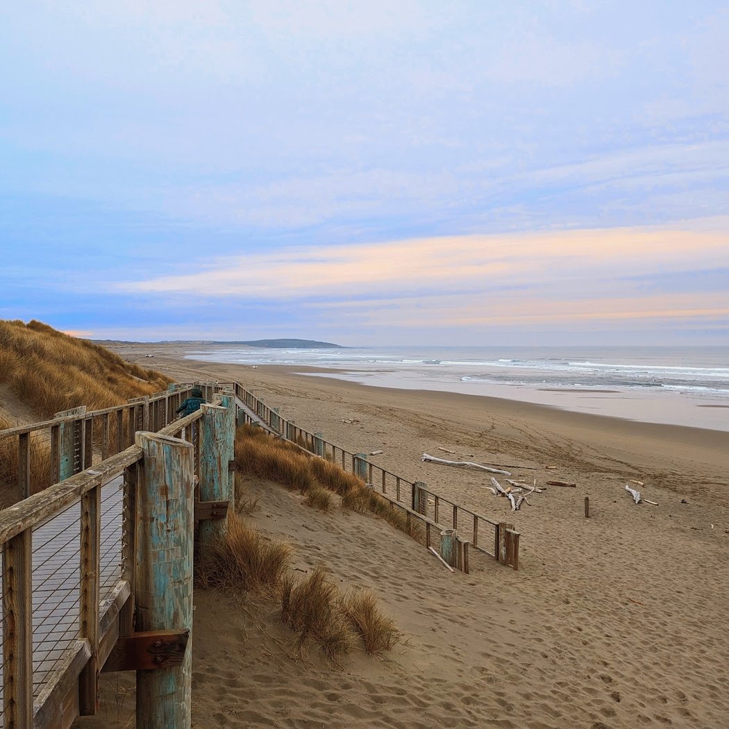 Bodega Dunes Beach 1