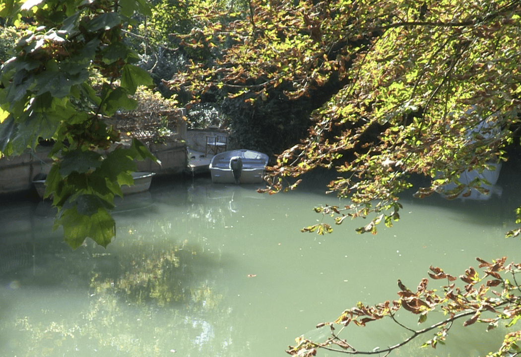 Bords de Marne 3