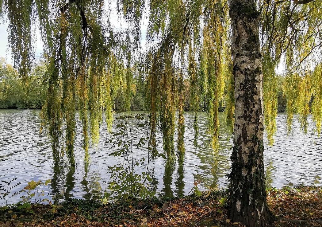 Au bord de l'oise 1