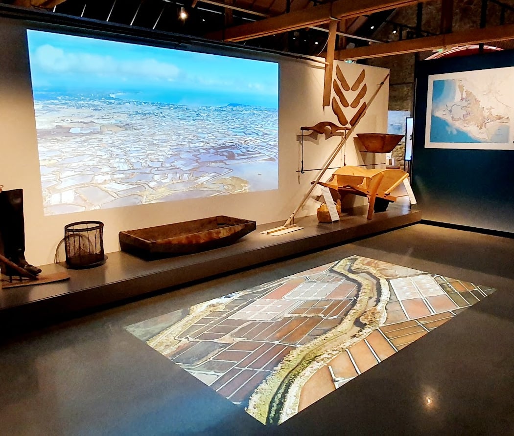 Exposition temporaire - les pouvoirs du sel 1
