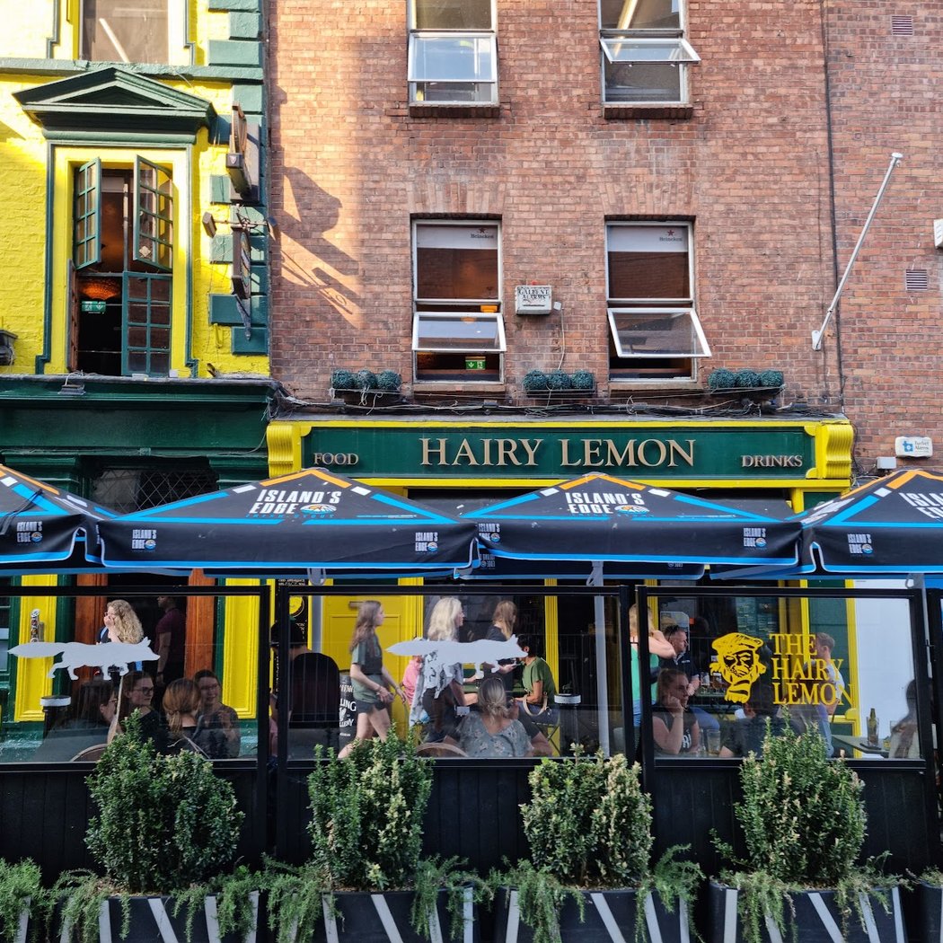 The Hairy Lemon 2