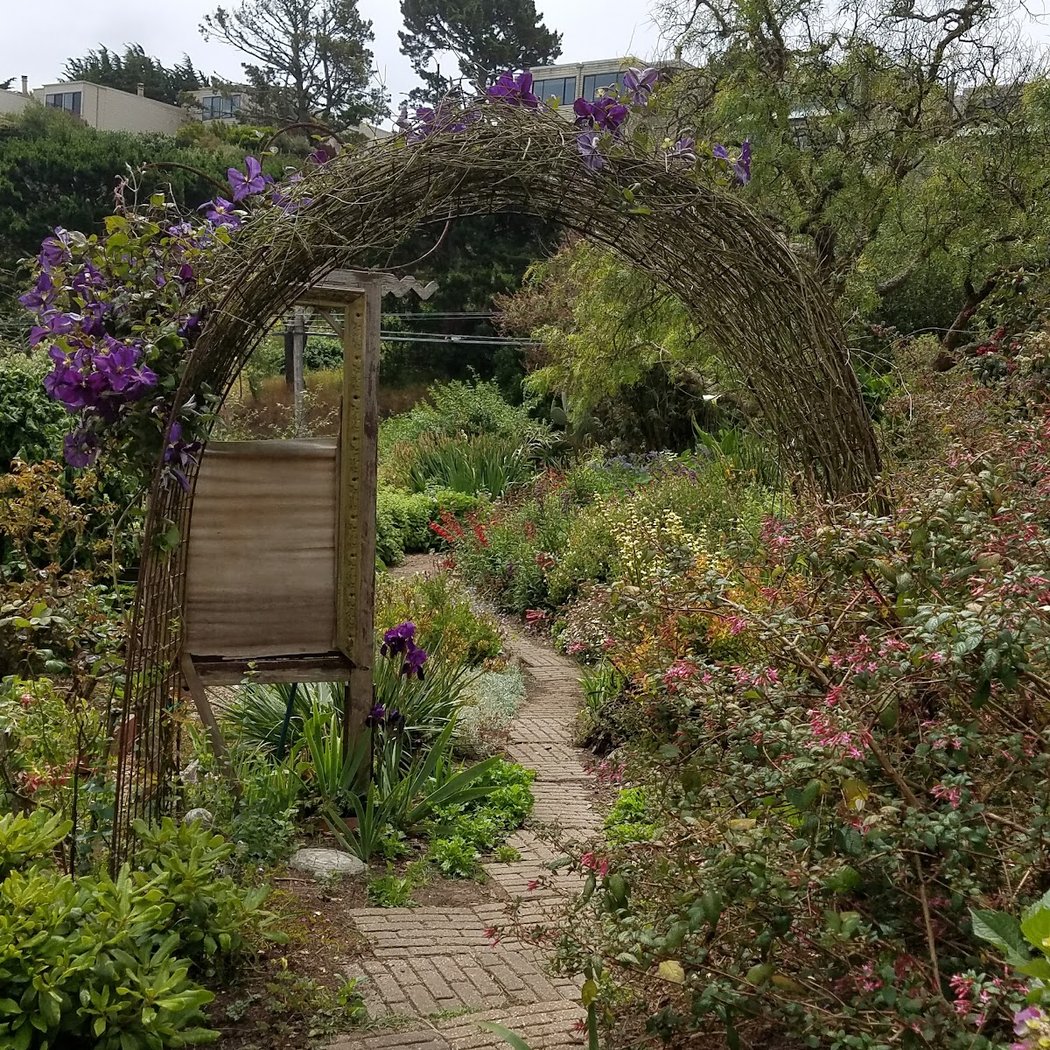 Clipper Community Garden 1