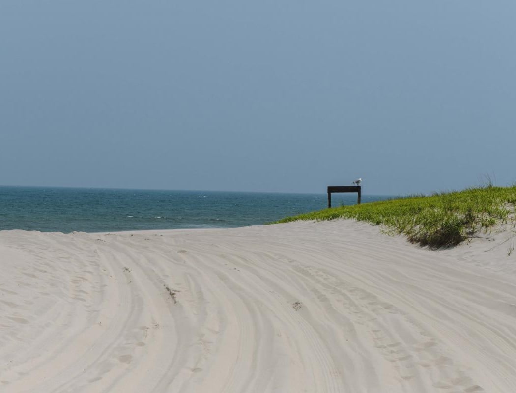 Asbury Park 2