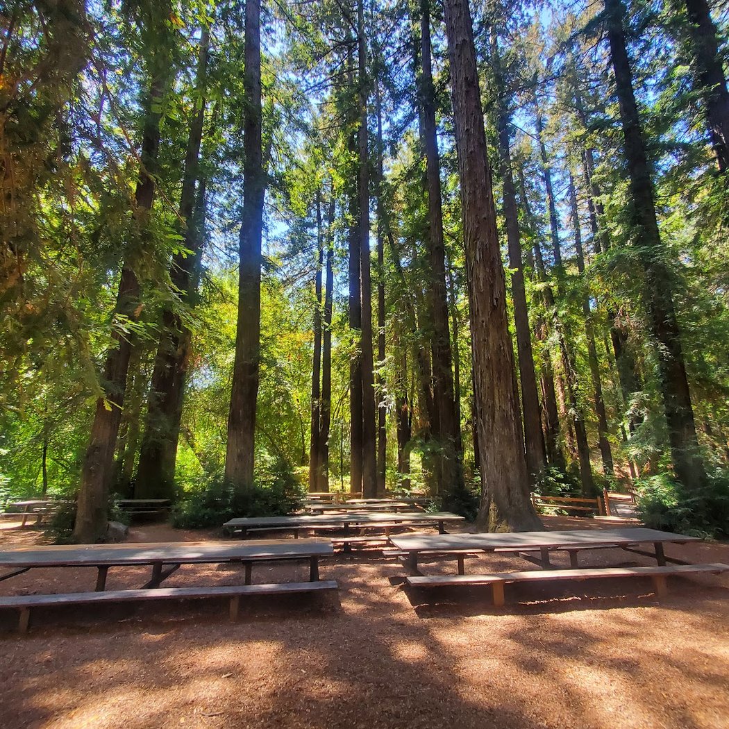 Riverfront Regional Park Picnic Area 3