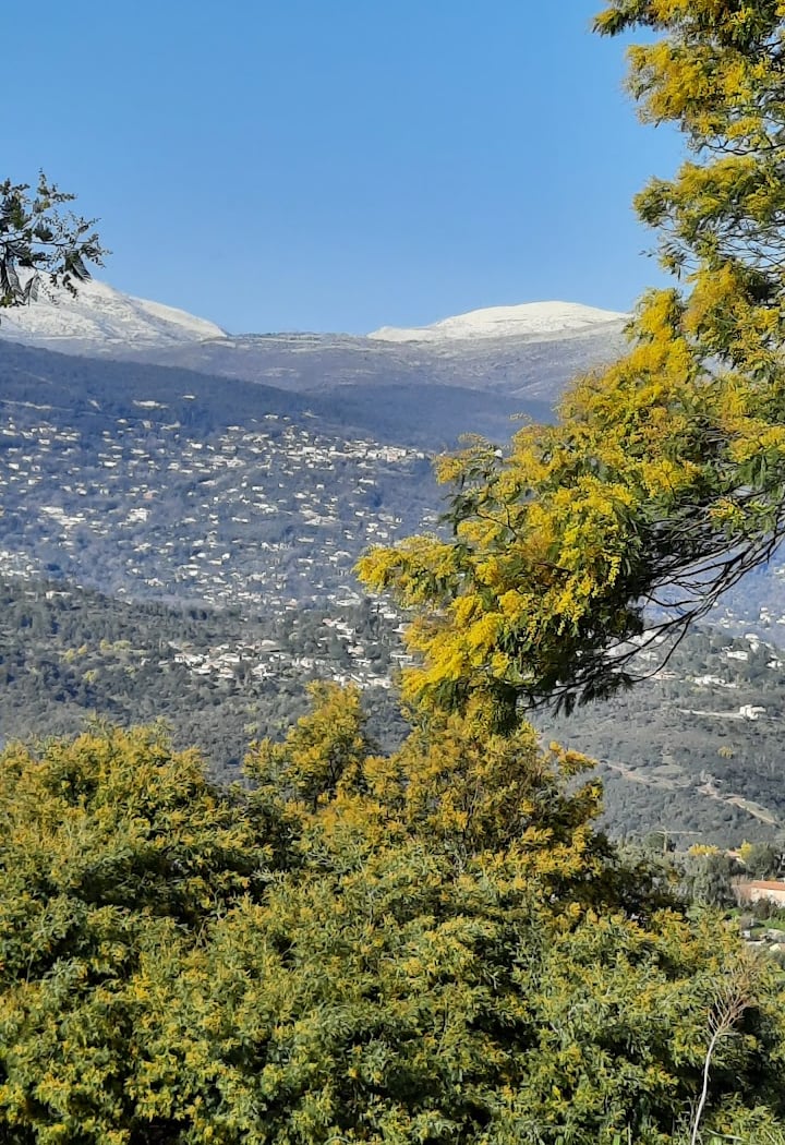 Av. des Mimosas 3