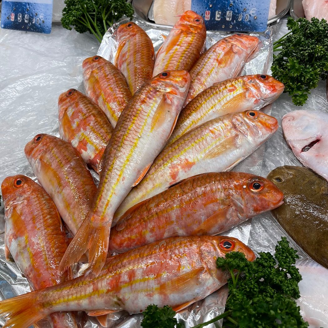 Fishmonger Dome 3